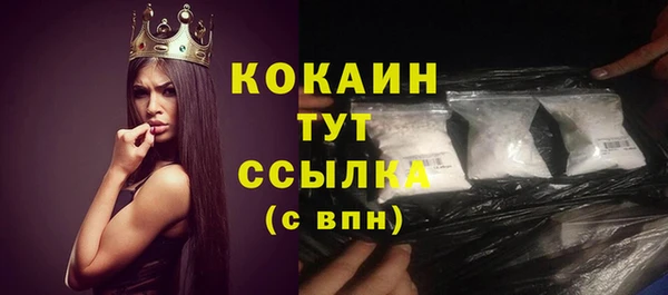 ГАЛЛЮЦИНОГЕННЫЕ ГРИБЫ Заволжье