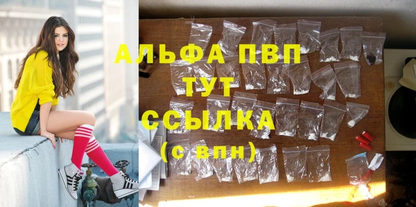 ГАЛЛЮЦИНОГЕННЫЕ ГРИБЫ Заволжье