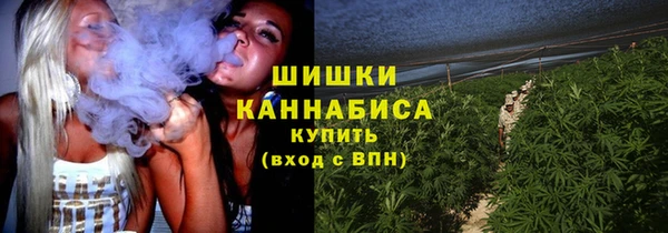 ГАЛЛЮЦИНОГЕННЫЕ ГРИБЫ Заволжье