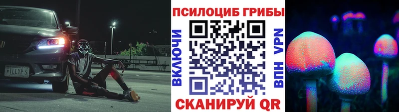 Псилоцибиновые грибы MAGIC MUSHROOMS  Купить закладки  Кольчугино 